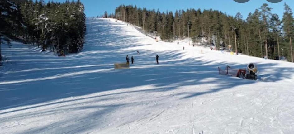 Big House, Sauna, Wi-Fi, Isaberg, Mtb, Skiing, Golf Gnosjo Eksteriør bilde
